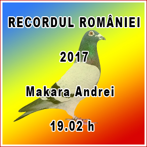 Recordul Romaniei